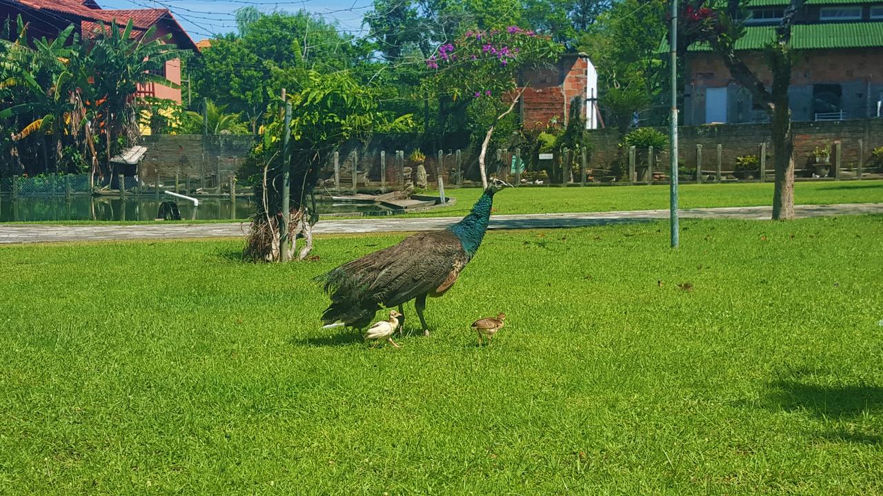Pousada Pavao Branco Florianópolis Exteriér fotografie