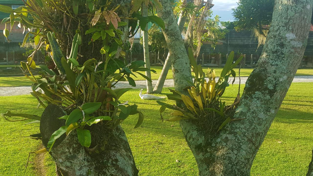 Pousada Pavao Branco Florianópolis Exteriér fotografie