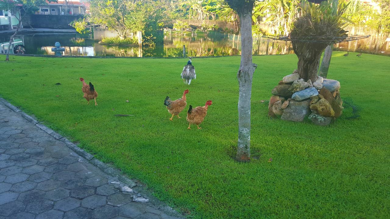 Pousada Pavao Branco Florianópolis Exteriér fotografie