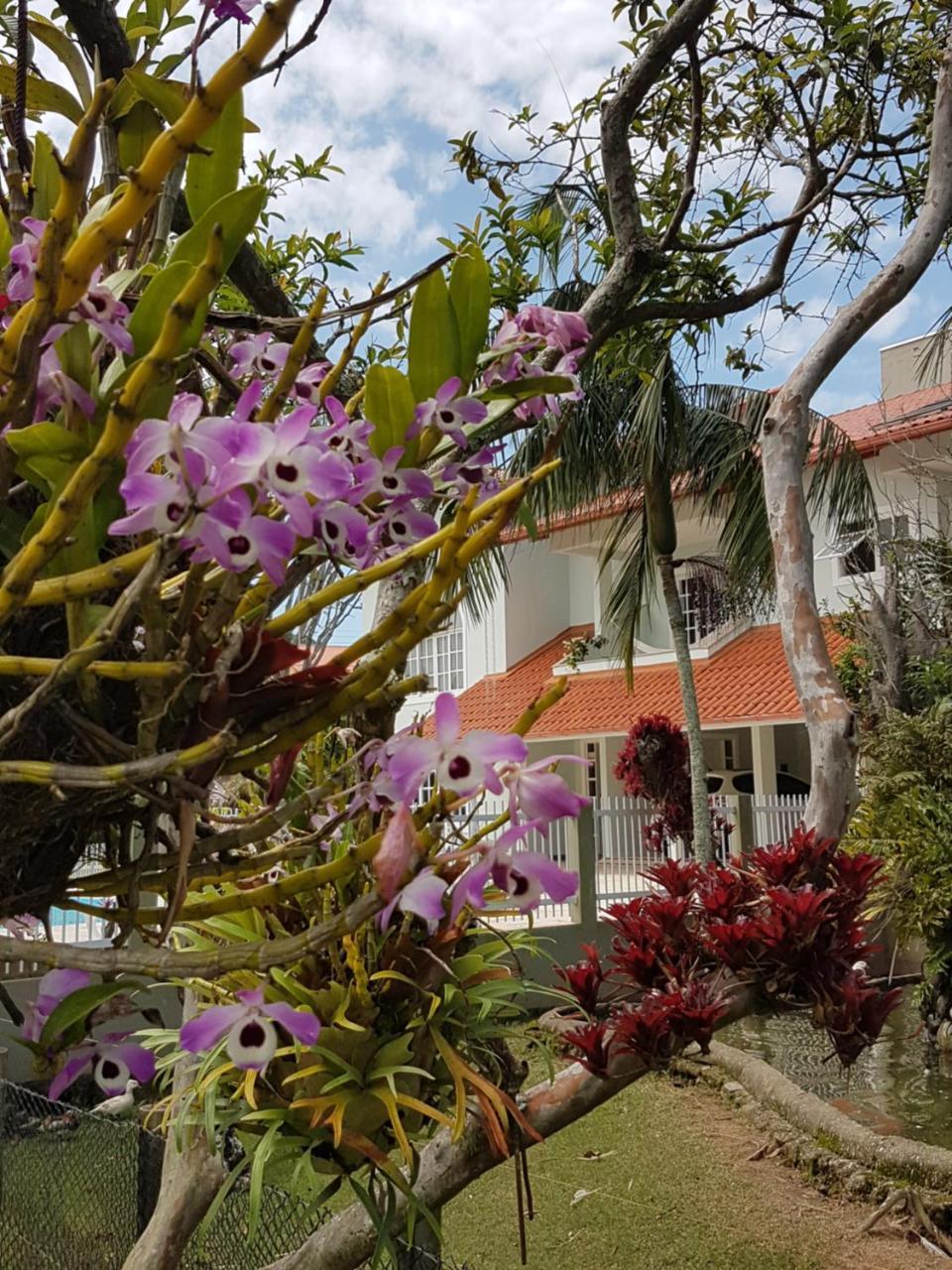 Pousada Pavao Branco Florianópolis Exteriér fotografie