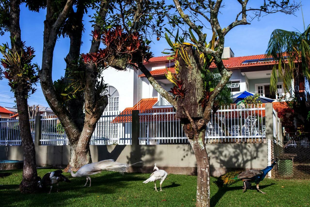 Pousada Pavao Branco Florianópolis Exteriér fotografie